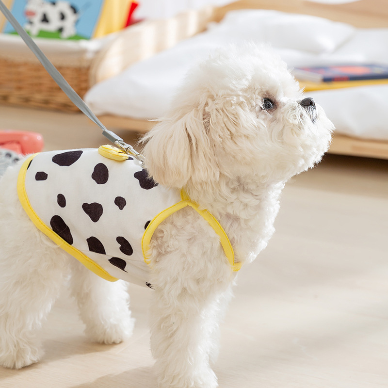 Primavera y verano Perro Delgado tridimensional fruta Linda tracción Honda gato Chaleco de dos patas Teddy ropa para perros mascotas