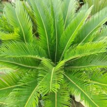 ?���r�F���~�F���F�l�Pβ���~�콶�~�F���~���K�F�~�Fժ�F�l