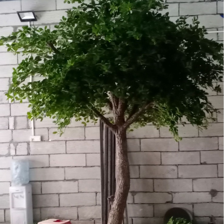 Simulación de paisajismo de jardín Simulación artificial de Fulutong Interior Simulación artificial de Fulutong Vista verde Falso árbol de simulación de Fulutong