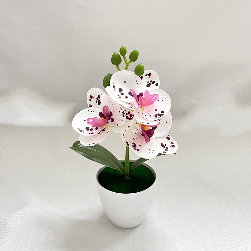 흰색 도트 보라색 (높이 20cm 폭 11cm)