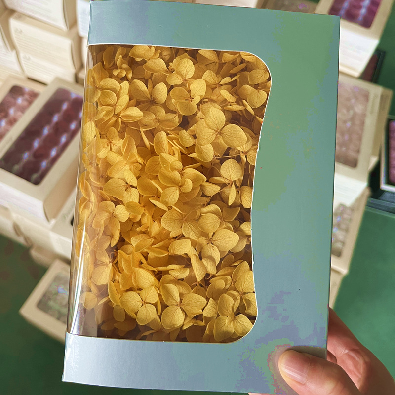 Anna Hortensia flor eterna Rosa Eterna caja de regalo flor seca flor preservada Flor Eterna