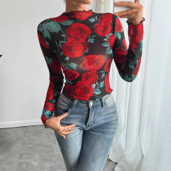 欧美跨境亚马逊2025秋冬新款女式透明玫瑰花花卉印花长袖小立领