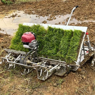 轻巧型4行水稻插秧机水田农用全自动汽油6行种植移栽热销机型