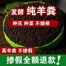 羊粪肥批发价发酵料腐熟粪蛋粒种菜养花肥料跨境厂家批发一件代发