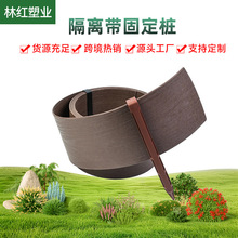 园艺跨境地钉草石隔离带固定桩园艺地钉塑料地桩锚花园草坪压枝钉