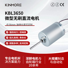 ��ת��24v��ˢֱ����������ڵ綯����ֱ�� 36mm���������Žṹ