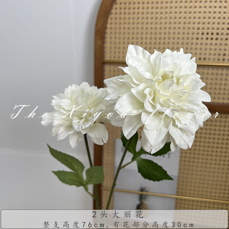 2頭の大麗花莫奈花園風喫茶店のセットです。|undefined
