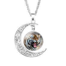 �ϻ�Tiger����ʱ�ⱦʯ������׹���� �����ܱ߿羳���ι���ֱ��