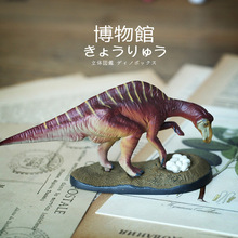 Colorata�ձ��������ĸ��ģ�Ͳ����^��������ղز�Ʒ