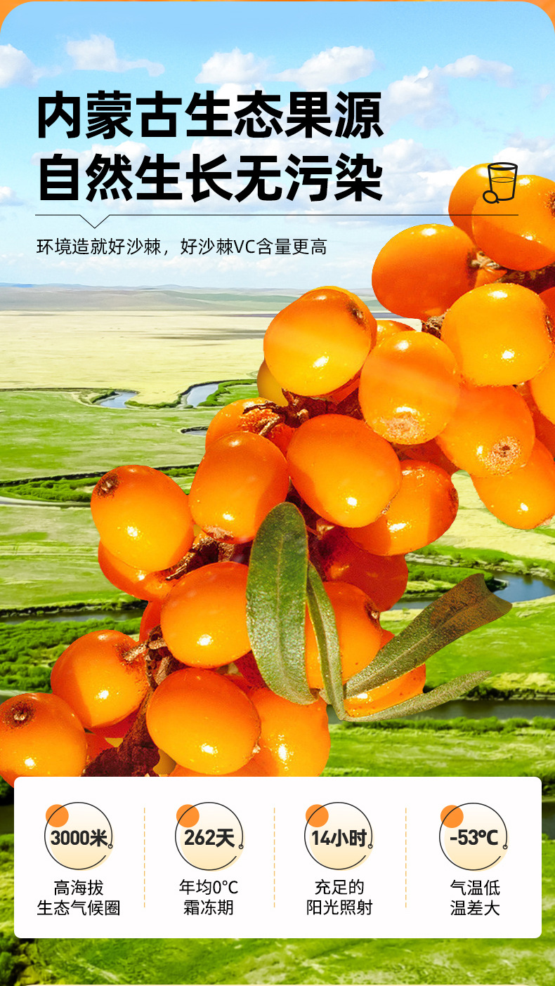 【福寿康宁】内蒙古小果沙棘原浆工厂沙棘籽油原浆批发电商代发-阿里巴巴