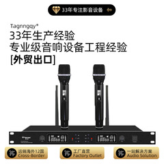 天朗音响跨境无线话筒一拖二动圈式KTV酒吧舞台户外演出麦克风