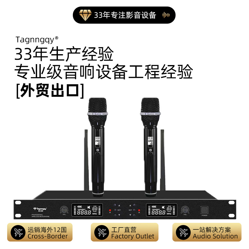 Tianlang Audio Cross-Border Wireless Microphone One-To-Two Dynamic Type Ktv Bar Stage Outdoor Performance Microphone