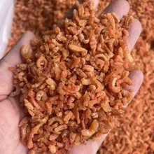 虾米北海海米 淡干 金钩红虾米 虾仁 虾干海味水商用自食