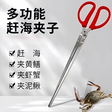 黄鳝夹鳝鱼夹子泥鳅螃蟹防滑抓捉龙虾专用赶海神器工具火钳黄鳝夹