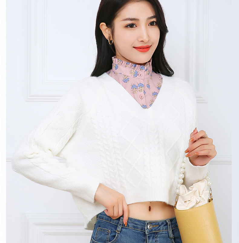 Fashionable Collar Options