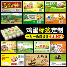 �������u���˺����Ƶ��а��b���N���r��ɢ�B���B�G�����������u��