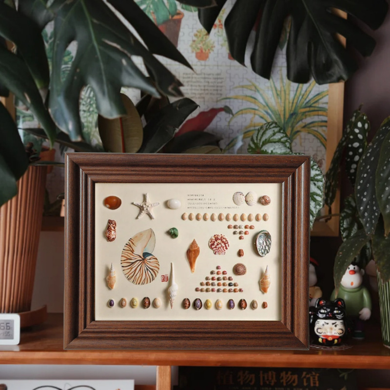 Shell Specimen DIY Handmade Stereo Photo Frame Natural Conch Framed Display Table Hanging Wall Wooden Decorative Picture Frame