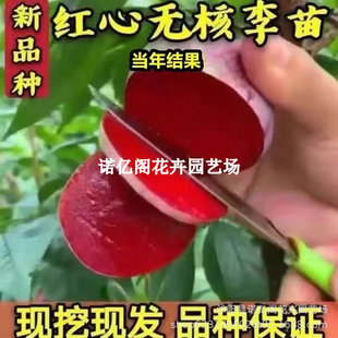���Ә���o�˼t�������޽ӹ��������ϱ����Nֲ�����ش����Ʒ�N