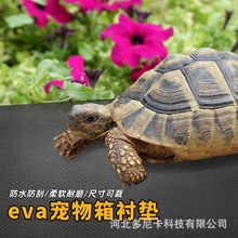 EVAr|ɗ׉|ĸ߷ˮϔ͹ϴ|