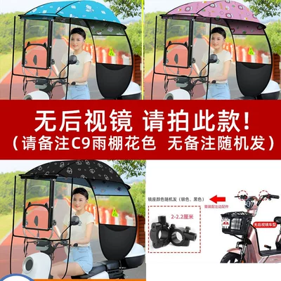 Canopy with Adjustable Angle, Elektromobil üçün ön şüşə çətiri (günlük) - photo-of-electric-car-without-rearview-mirror-color-remarks-c9-model-other