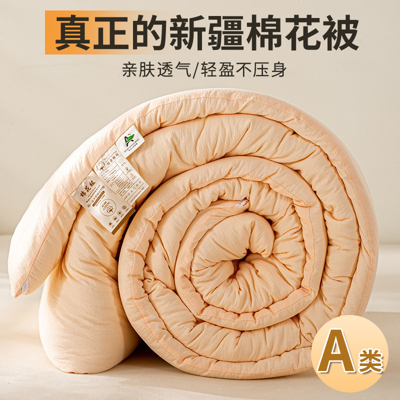 新款简约A类新疆棉花被被子被芯加厚冬被宿舍春秋被垫被床上用品4|undefined