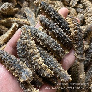 ӡ������� ������ �ڴ̅� �S��̅� ���������؛�������l