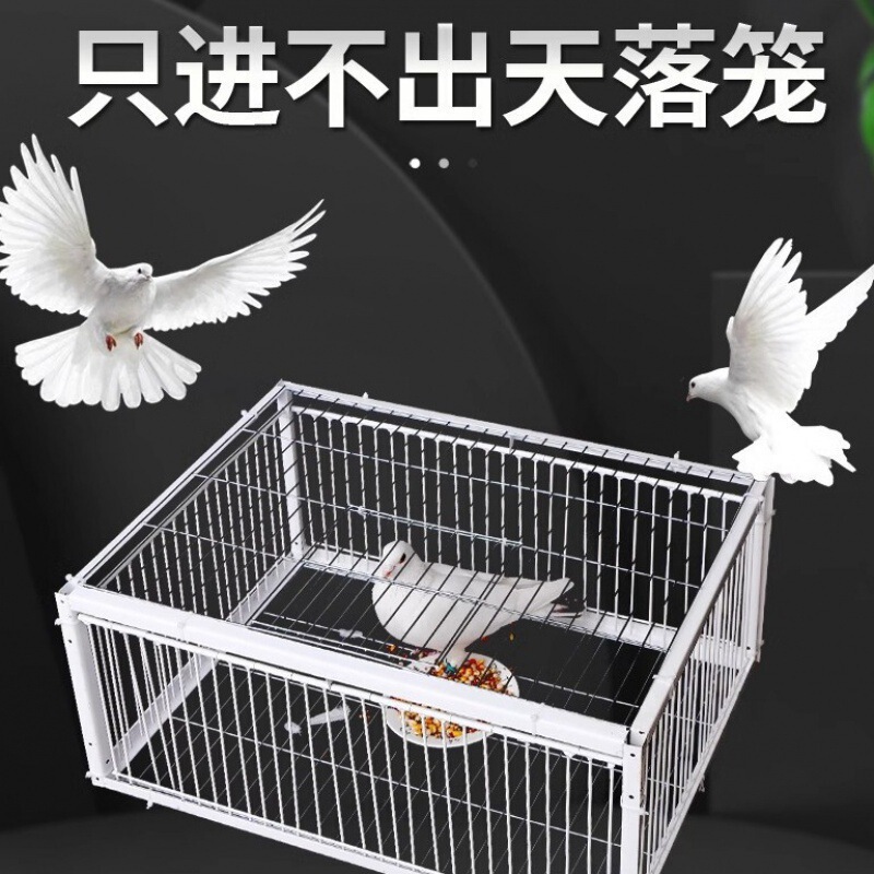 只进不出鸟笼全自动天落笼子撞门户外抓收鸽子捕加密可连续用|undefined