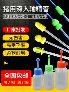 �i��һ����ݔ�����ݔ��ƿĸ�i�N�i�ھ��ܫF���˹����i