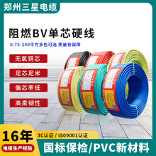 Դ�^���S���ü��~BV��ȼ���ˆ�о�~��1.5 2.5 4 6 10ƽ���~оӲ��