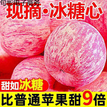 陕西延安洛川苹果水果新鲜当季冰糖心脆甜整箱红富士包邮