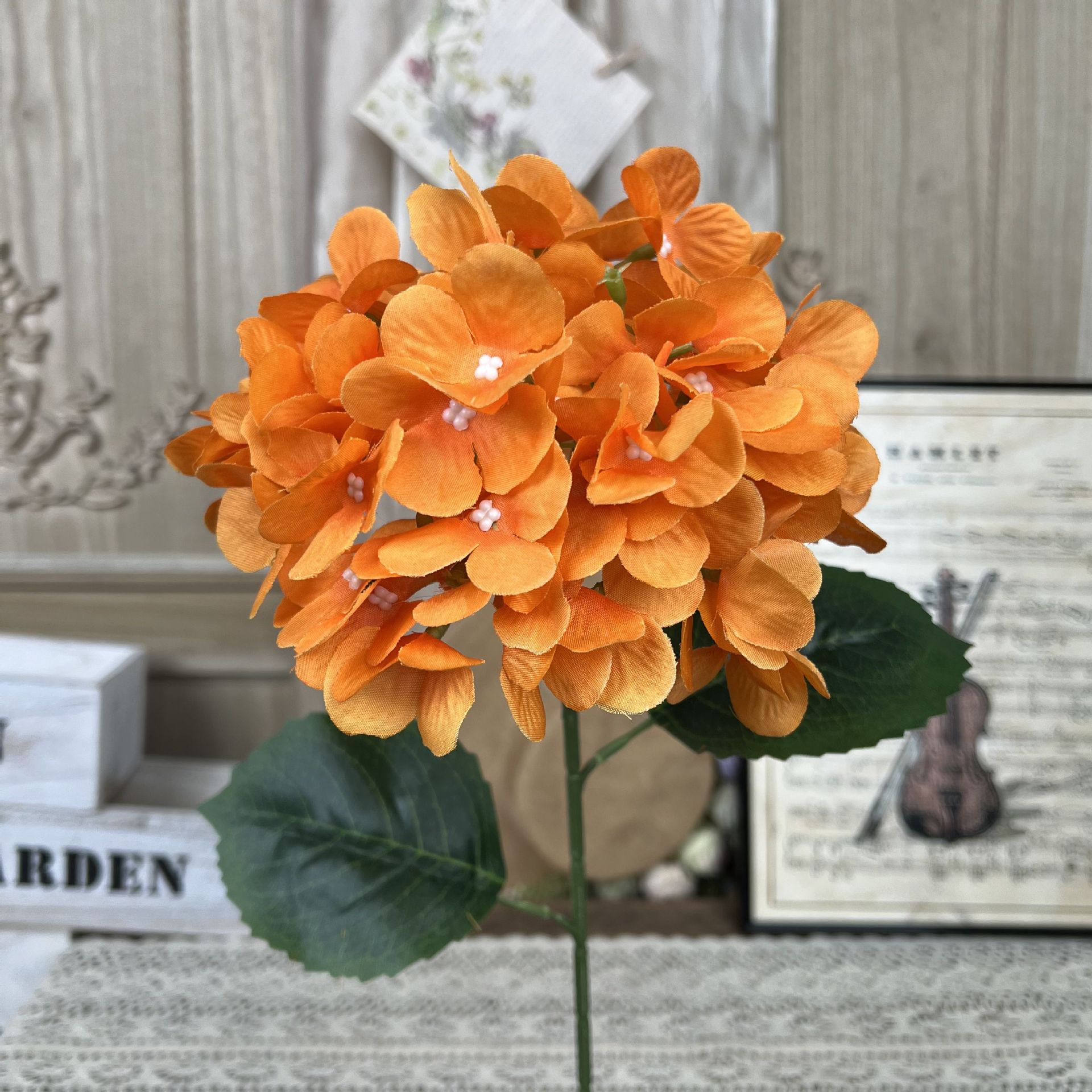 TY-단일 지점 수국-오렌지