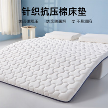 四季通用床墊軟墊租房專用墊被褥子家用加厚睡墊宿舍單人墊子鋪底