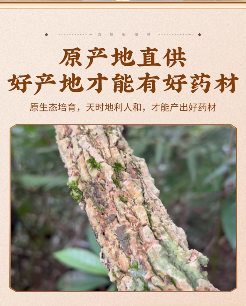 Dried Piper Kadsura Vine Haifeng Teng 海风藤 500g Traditional Chinese Herbal Decoction Pieces key features