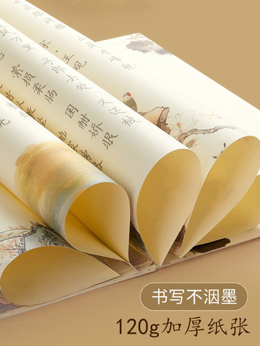 Liupintang regular script copybook hairpin flower small regular script adult boys and girls hard pen calligraphy practice fountain pen copy practice copybook