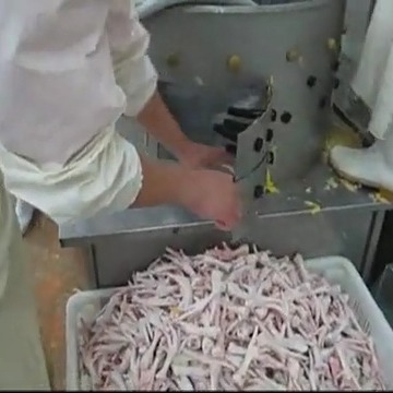 圆筒式鸡爪脱皮机  鸡脚自动去皮机 诸城屠宰机械厂家