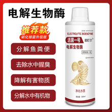 电解生物酶鱼缸净水剂分解氨氮亚硝酸盐空气缸硝化细菌鱼缸绿水藻
