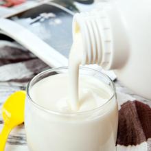 光明原味大桶酸奶1100*1/2桶畅优风味发酵乳原味酸奶网红早批发