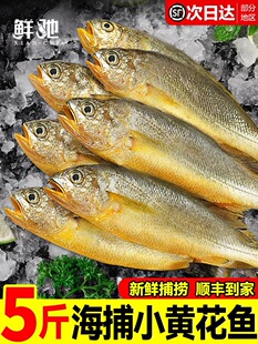 С�S���~���r���5��������S�~���u���r��~���r�����������l