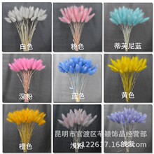 ��β�ݸɻ��滨��������β�Ͳݻ�����β�ݸɻ����l�b��Ĕz����