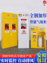 全钢气瓶柜便携柜煤气罐柜乙炔氧气储存箱压力接口