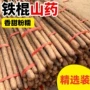 河北正宗新鲜香甜蔬菜