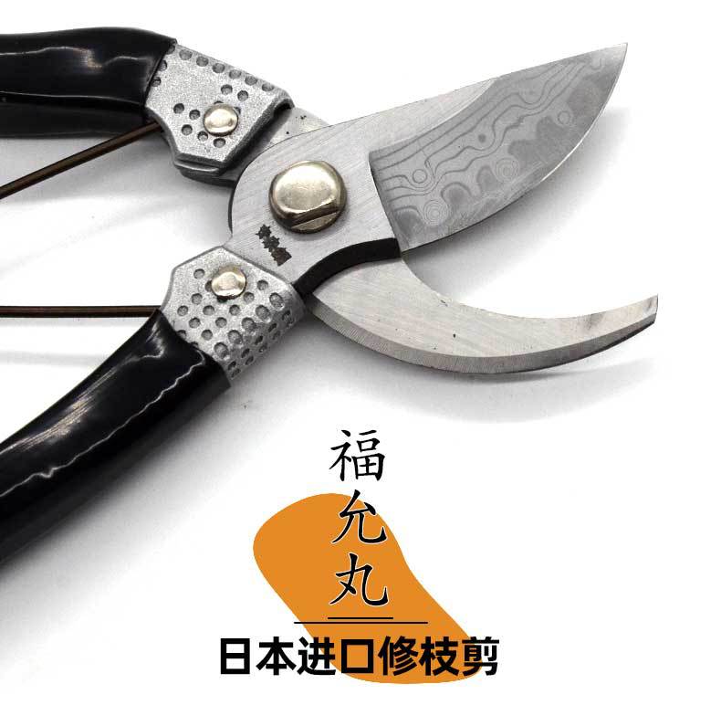 日本农协 福允丸修枝果树修剪树枝园艺剪枝剪刀锋利耐久