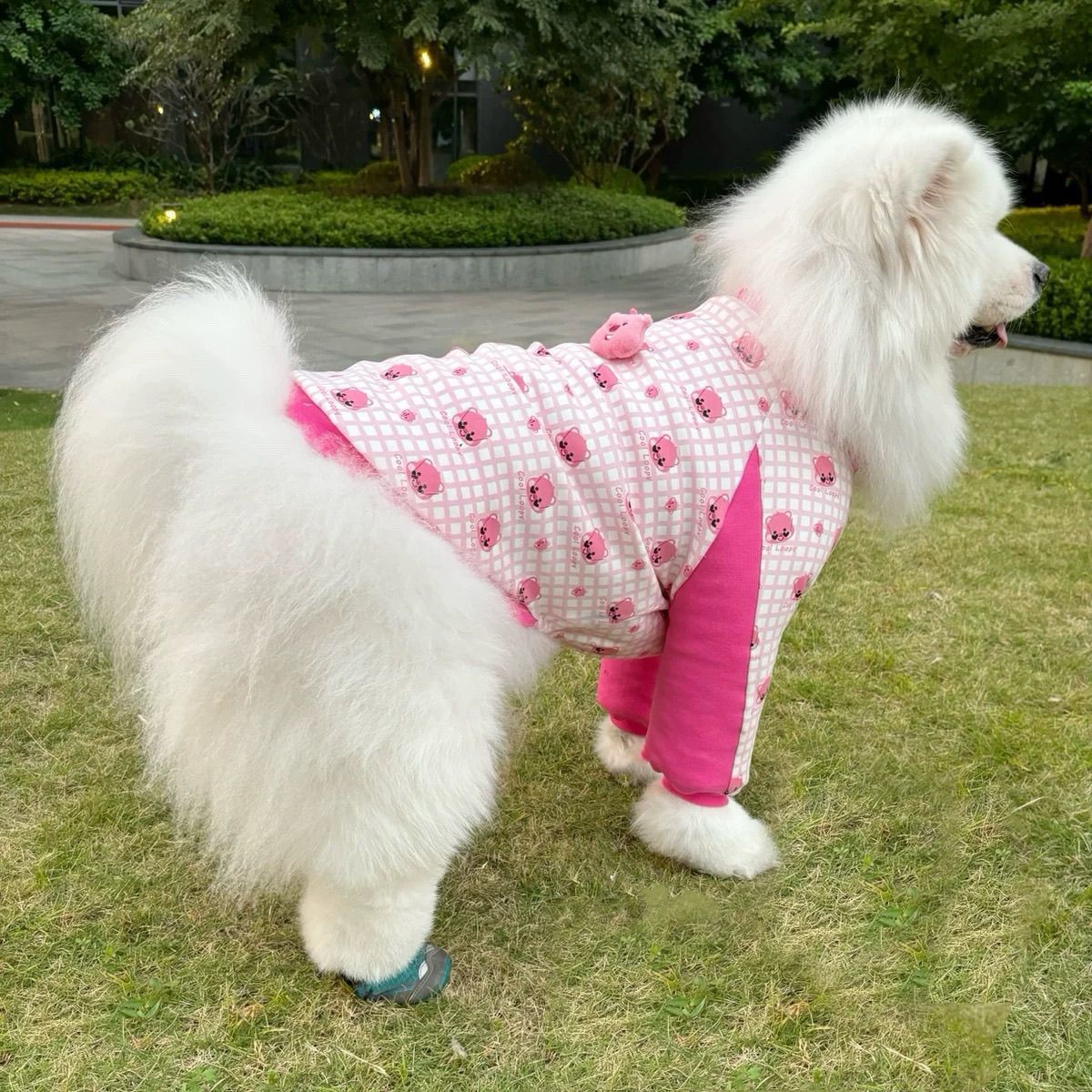 大型犬宠物护肘服保护关节衣萨摩耶金毛拉布拉多边牧服饰防磨损潮