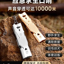 �����������������ⱬ���w���ώ����l��ԮӖ�B�����Ѿȿ���