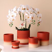 ���W�u׃ӭ���tɫ�մ��؟������п׎��бP��ˮ͸��Gֲ���ܻ�Ƥ�m