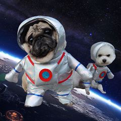 Halloween funny astronaut self-supporting costume small and medium-sized dog funny transformation costume cat pet clothing supplies