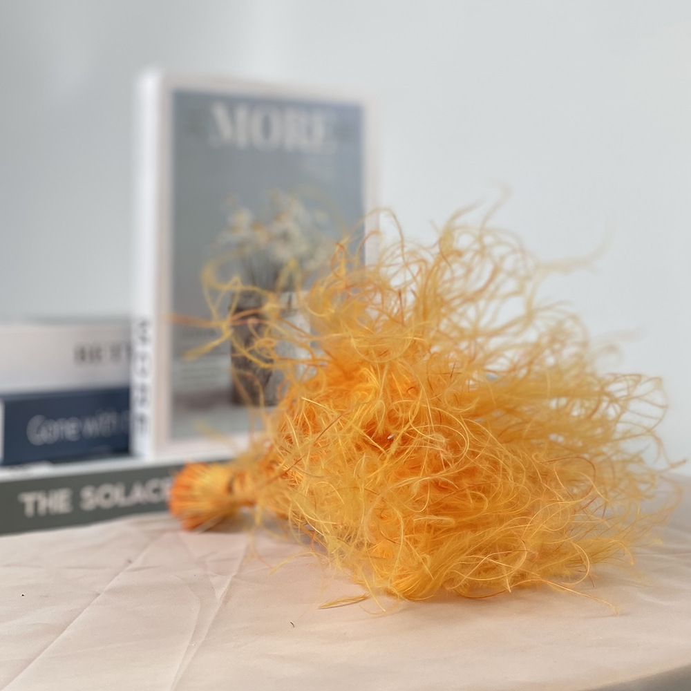 Flor eterna de plumas de peluche hierba flor seca flores DIY accesorios de la Flor al por mayor del Día de San Valentín flor