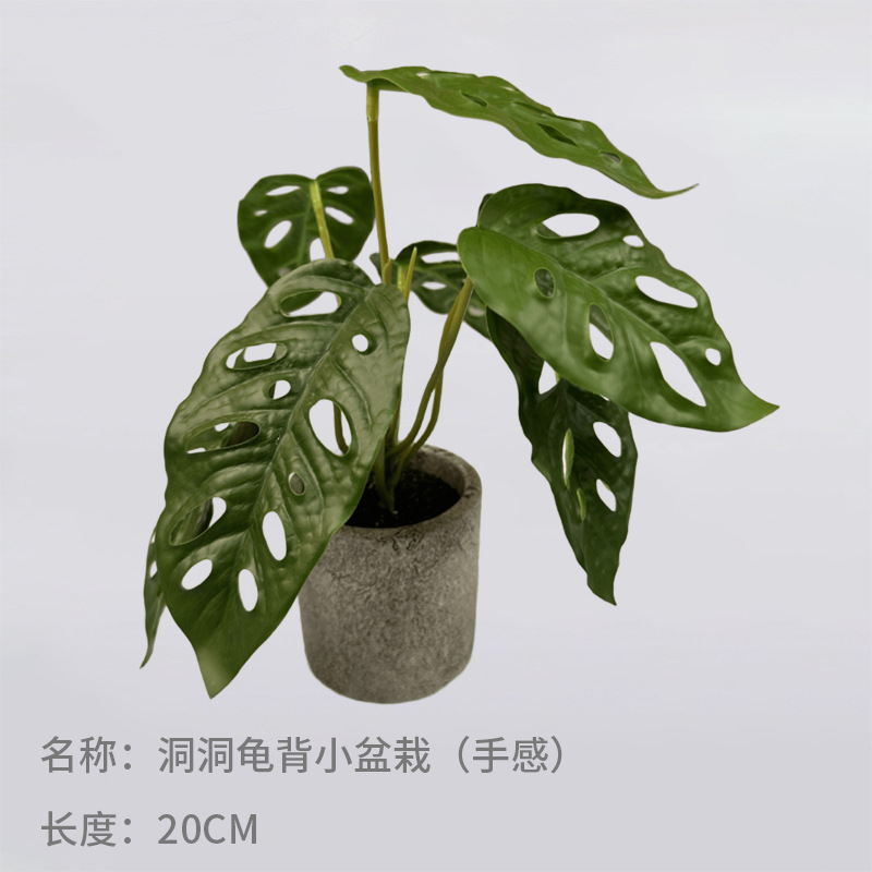 Simulación nórdica Planta verde Tortuga espalda hada Taro Escritorio Bonsai Sala de estar Hogar Decoración del suelo Decoración Decoración Paisaje de plantas falsas