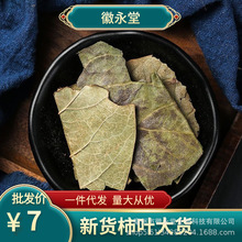 大货批发柿子叶散装500g柿子叶茶中药材柿子叶霜后柿子叶