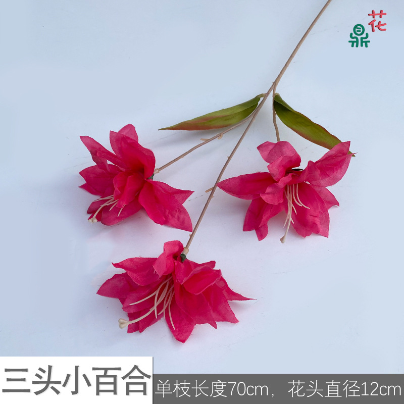 세 릴리 LS 로즈 레드